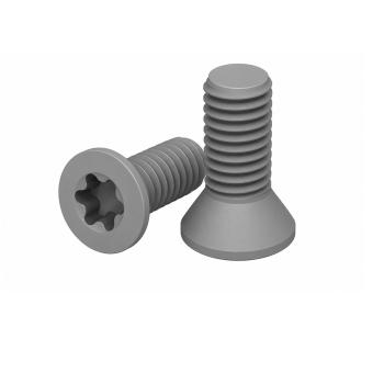 Foto: Parafuso Torx M5x11mm Fresa Heidelberg Eurobind Pro